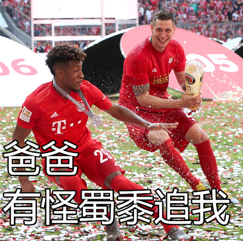 关于惊天逆转！拜仁连追三球实现绝地反击，的话作品网上.的信息-九游娱乐空间